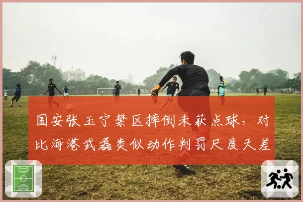 国安张玉宁禁区摔倒未获点球，对比海港武磊类似动作判罚尺度天差地别