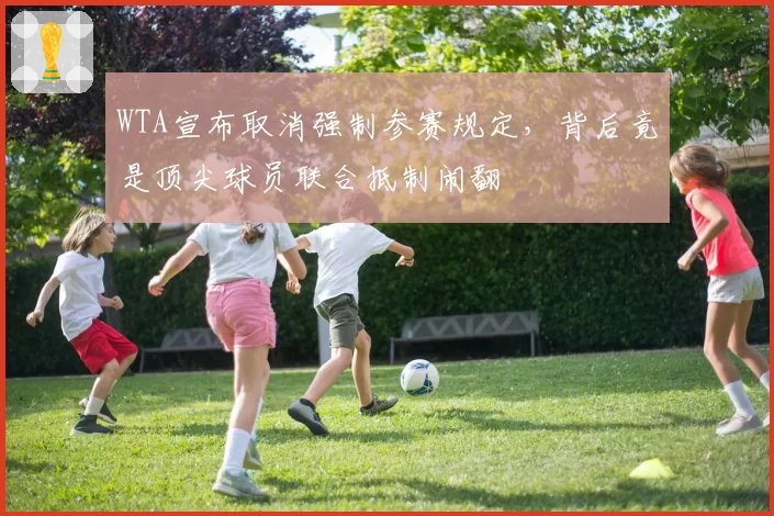 WTA宣布取消强制参赛规定，背后竟是顶尖球员联合抵制闹翻